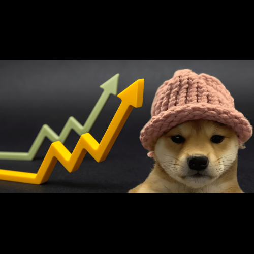 Best Crypto to Buy Now: Aptos (APT), Injective (INJ), Arbitrum (ARB), Crypto All Stars (STARS), dogwifhat (WIF)