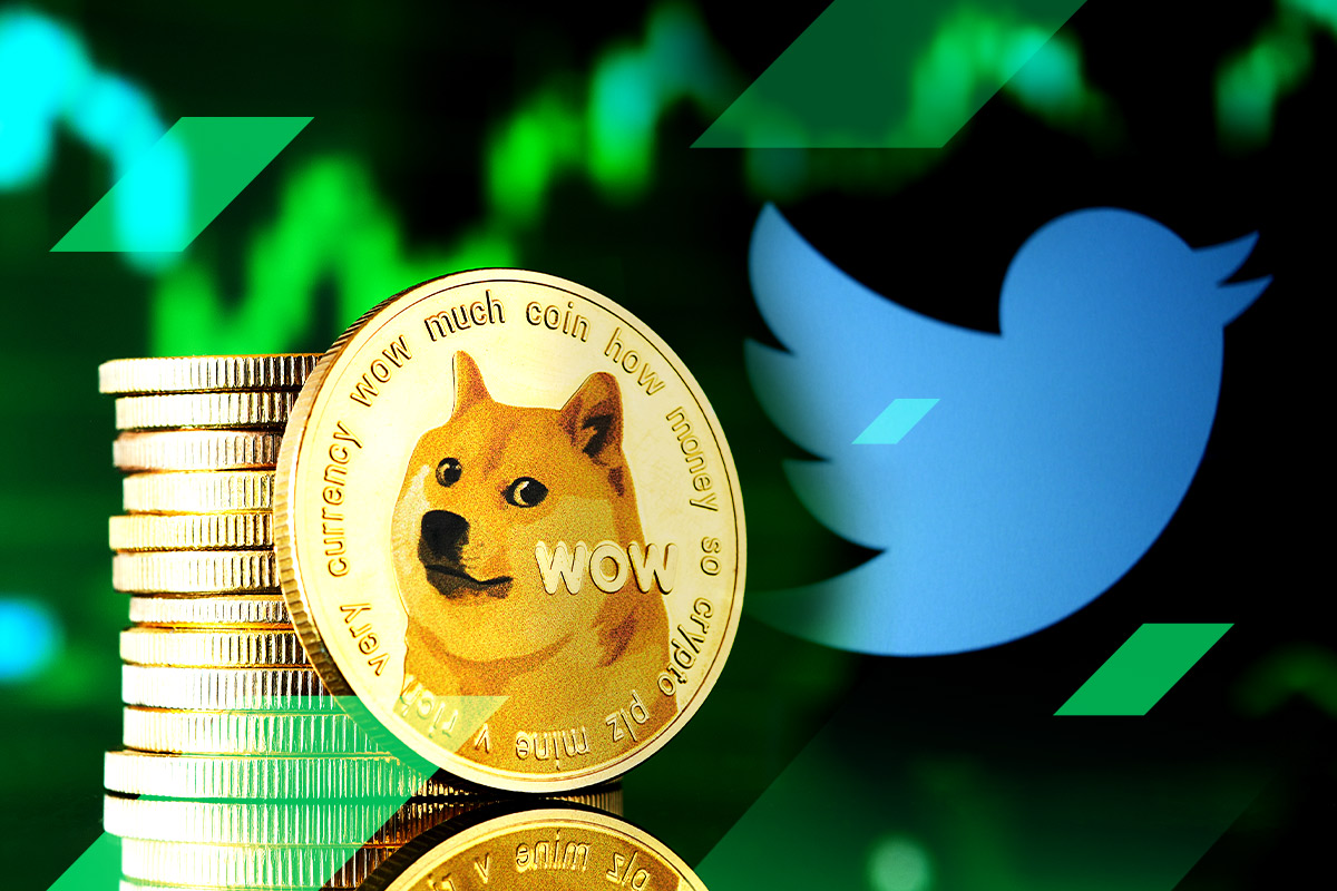 Dogecoin (DOGE) steigt in wenigen Tagen um 20 %, Analysten sehen einen möglichen Ausbruch