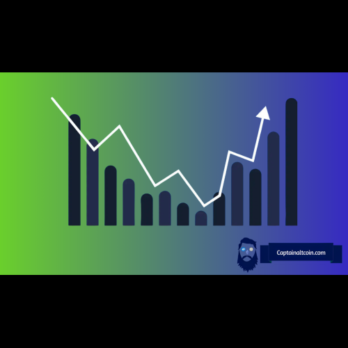 Activité massive des baleines pour Injective (INJ), Shiba Inu (SHIB) et ces Altcoins