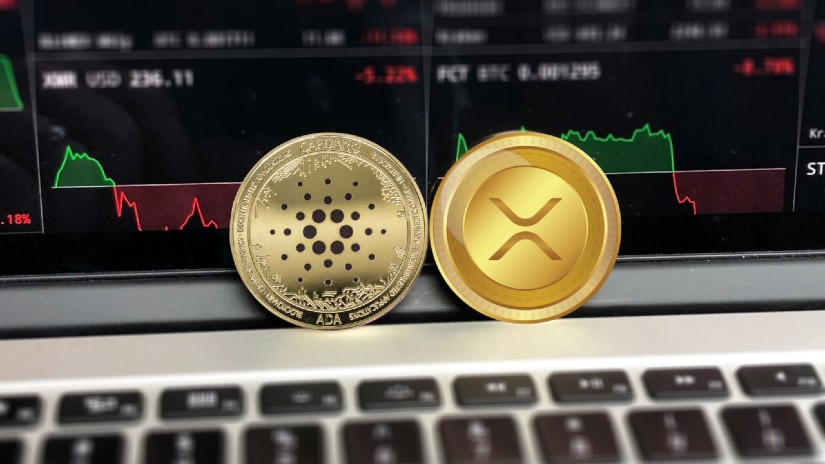 RCO Finance (RCOF) 預售：ADA 和 XRP 鯨魚拋售後賺取數百萬美元的獨特機會