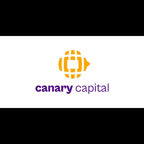 Former Valkyrie Co-Founder Steven McClurg Launches New Digital Asset-Focused Investment Firm Canary Capital Group