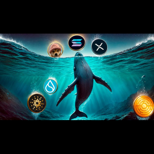 Whales Are Targeting These 6 Coins for October's Crypto Pump: Here's Why