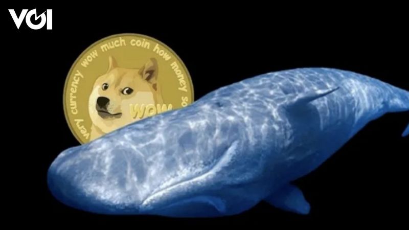 Dogecoin (DOGE) erregt öffentliche Aufmerksamkeit, Netzwerkaktivität nimmt deutlich zu