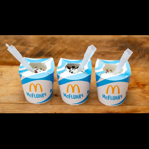 Le mystère de la cuillère McFlurry de McDonald's est enfin résolu