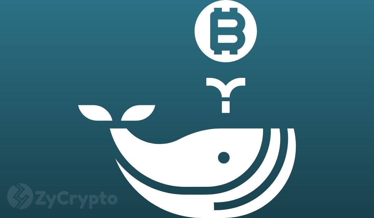 Whales Accumulate 50,000 BTC Worth $3.15B as Bitcoin (BTC) Price Corrects