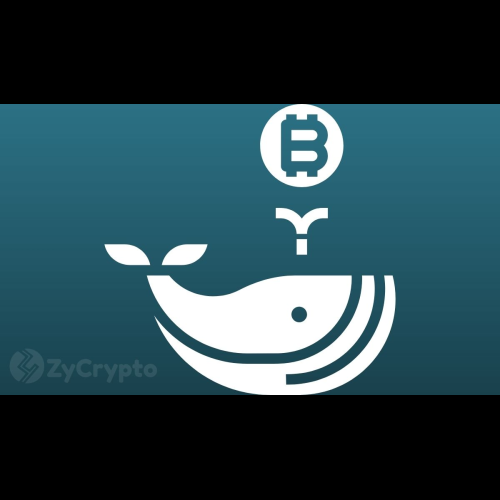 Whales Accumulate 50,000 BTC Worth $3.15B as Bitcoin (BTC) Price Corrects