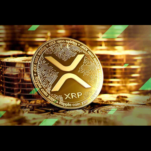 Bitwise 的 XRP ETF 和 ETP 檔案引發市場投機，鯨魚活動暗示看漲情緒