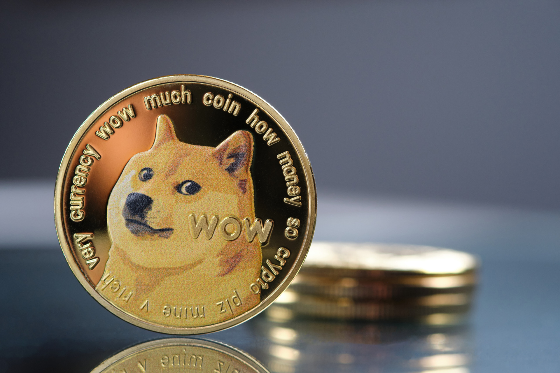 Mark Cuban Says Every Memecoin Is a Rug Pull, Except Dogecoin