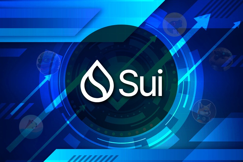 Sui Network のトップ 5 ミーム コインをご紹介します