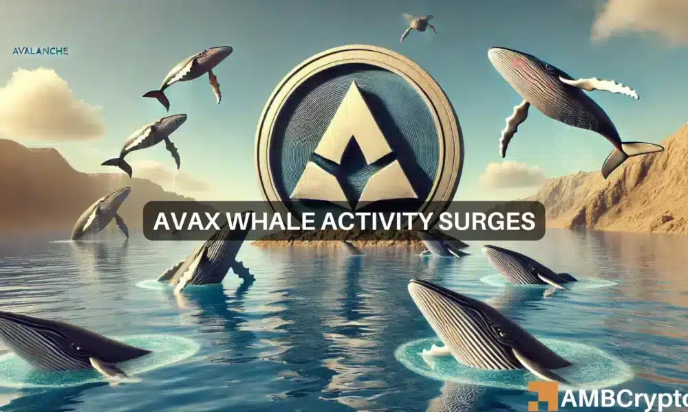 Avalanche (AVAX) L’activité des baleines augmente, les prix peuvent-ils rebondir ?