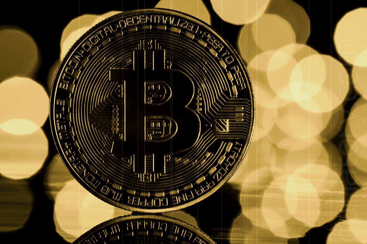 Bitcoin Still the Top-Performing Asset in 2024, Despite a “Seasonally Weak” Third Quarter: NYDIG