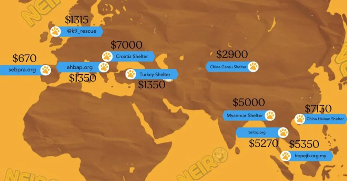 Prochaine crypto-monnaie à exploser : Flockerz (FLOCK), Notcoin (NOT), Mog Coin (MOG), Neiro (NEIRO), Arkham (ARKM)