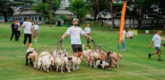 BONK 和韓國 K9 救援隊創造了單人同時遛狗數量最多的金氏世界紀錄™