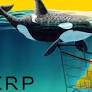 Ripple (XRP) Whale Abandons Ship to Bet on ETFSwap (ETFS) and Aptos (APT)