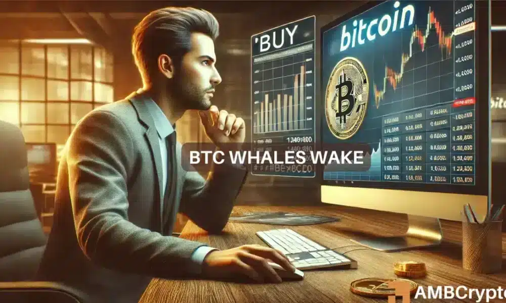 Bitcoin Whales Ramp Up Activity, Accumulate More BTC as Market Faces Price Uncertainties