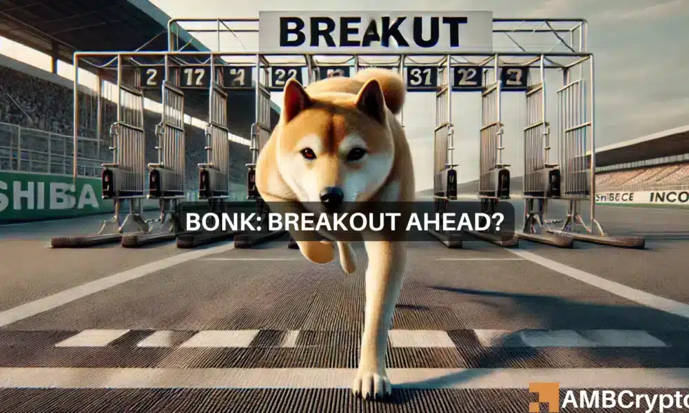 Bonk (BONK) 價格預測：代幣在窄幅區間內盤整，準備突破