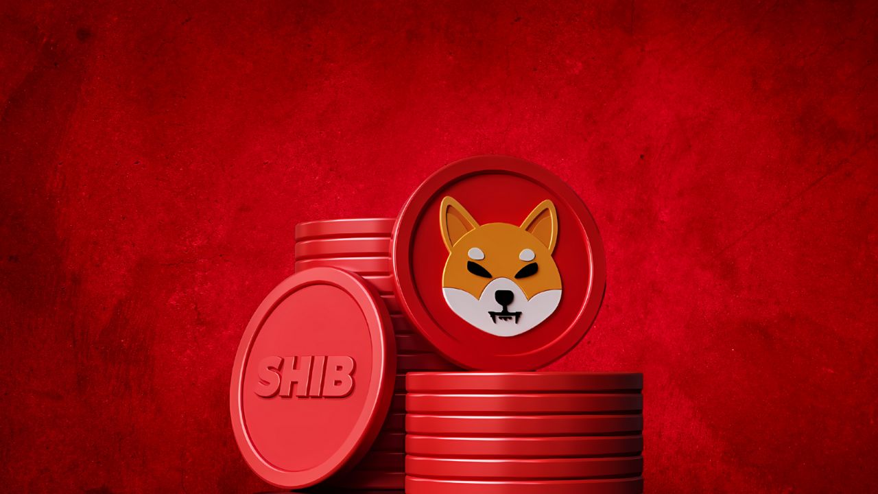 Shiba Inu(SHIB)가 일주일 만에 1% 덤프: RCO Finance(RCOF)가 대규모 사전 판매 성장으로 주목을 받음