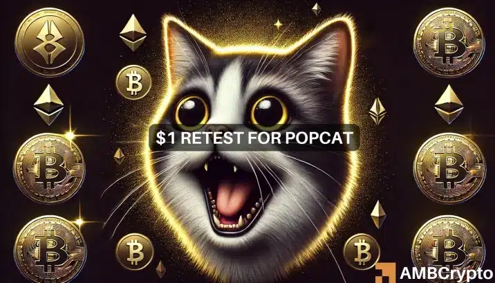 Popcat（POPCAT）价格预测2021-2025：POPCAT会再次上涨吗？