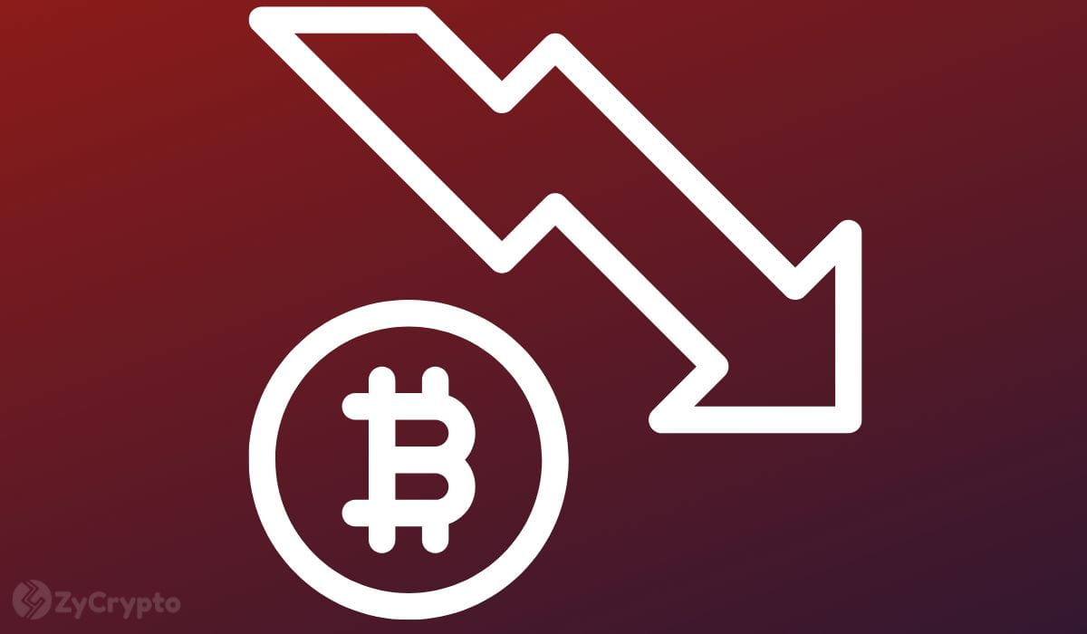 Bitcoin (BTC) ist einem Crash-Risiko von 75 % ausgesetzt, da der erfahrene Trader Peter Brandt pessimistisch tendiert