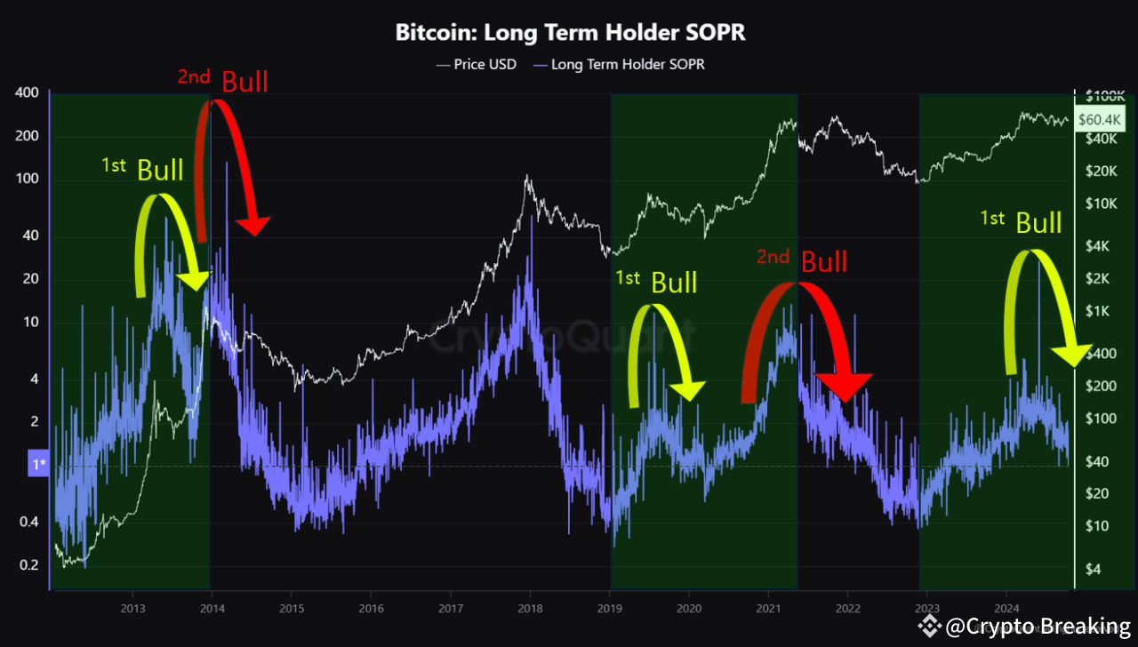 Bitcoin erobert 62.000 US-Dollar zurück: Analysten erklären, warum der Bullenzyklus noch lange nicht vorbei ist