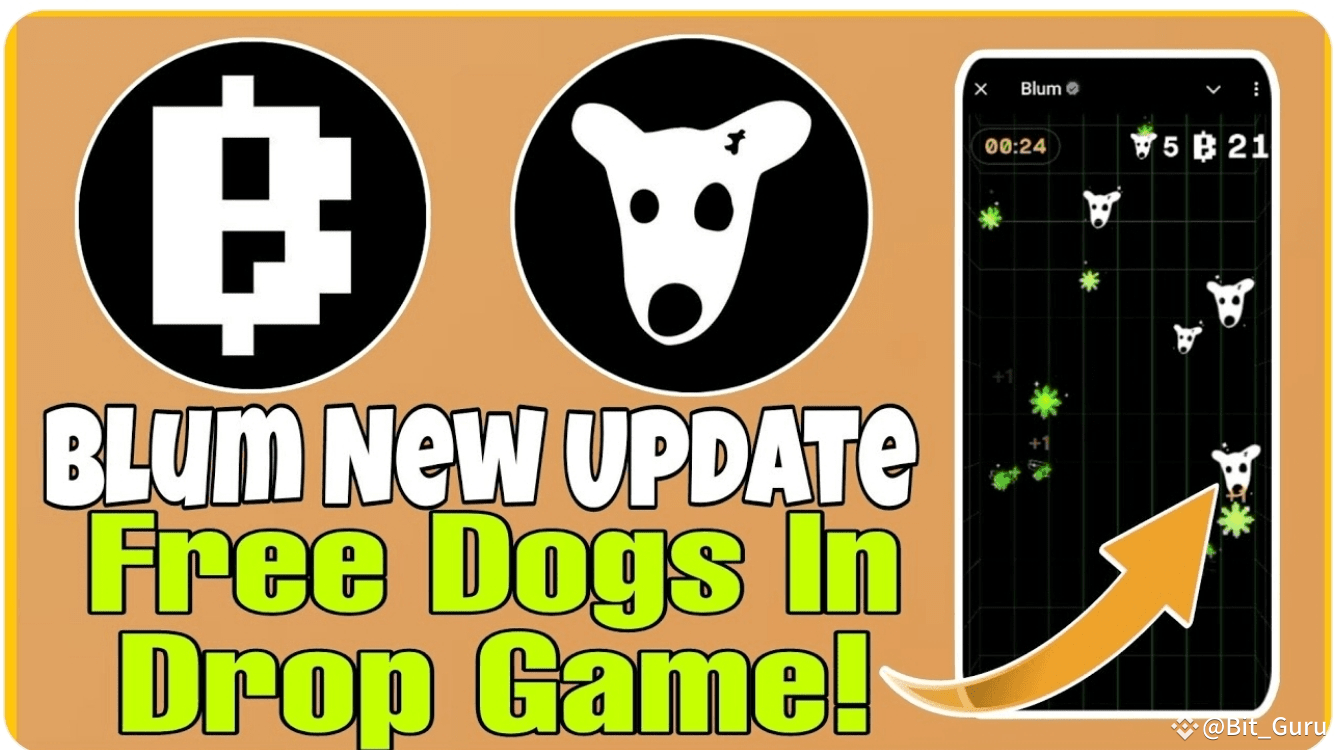 Blum Drop Game Update: Now Earn Dogs Coins While Playing!