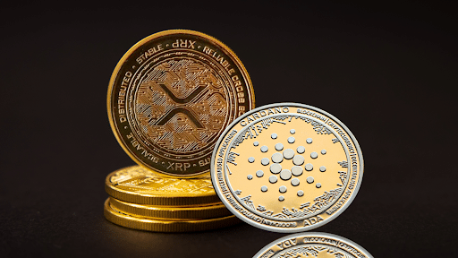 Die Wale Cardano (ADA) und Ripple (XRP) verlassen stillschweigend ihre Schiffe, um in diesen Ethereum-Token mit 4000-fachem Rally-Potenzial zu investieren