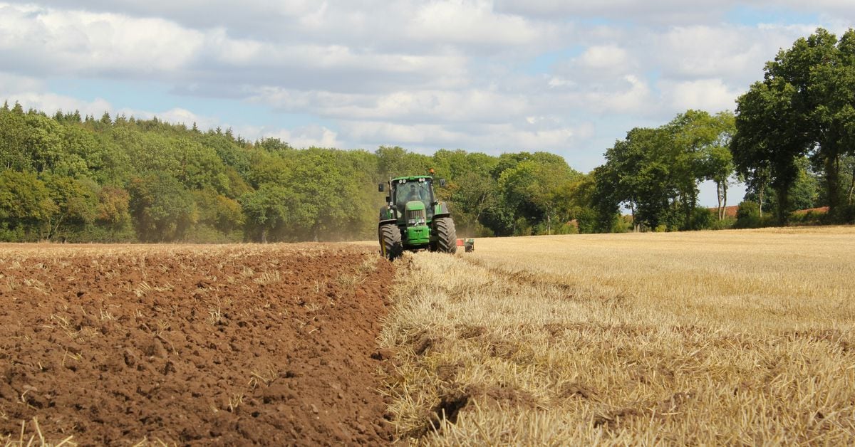 Scroll Airdrop-Zuteilung stieß bei Landwirten auf Bestürzung