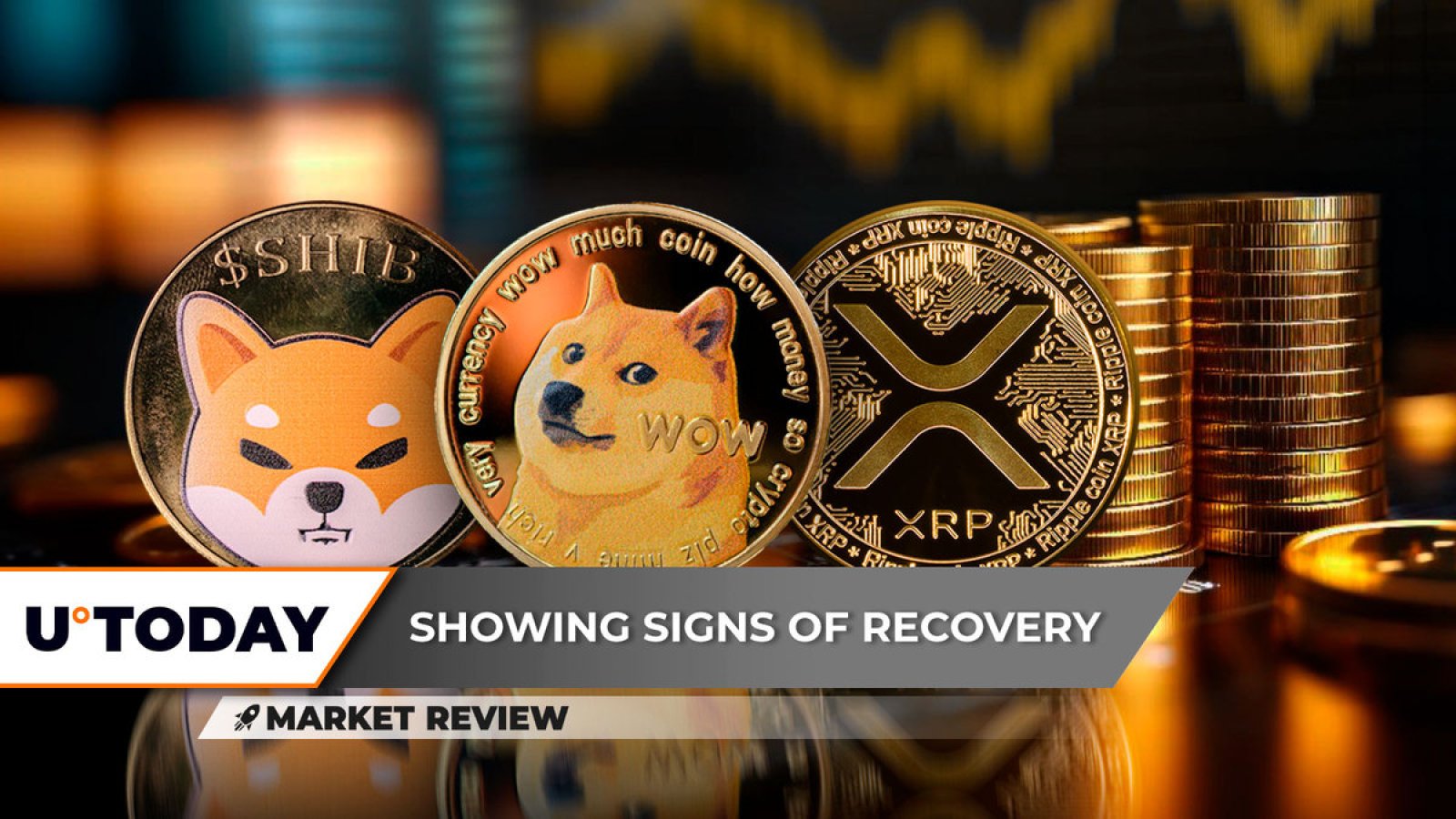 Shiba Inu、XRP、Dogecoin 价格分析：下一步是什么？