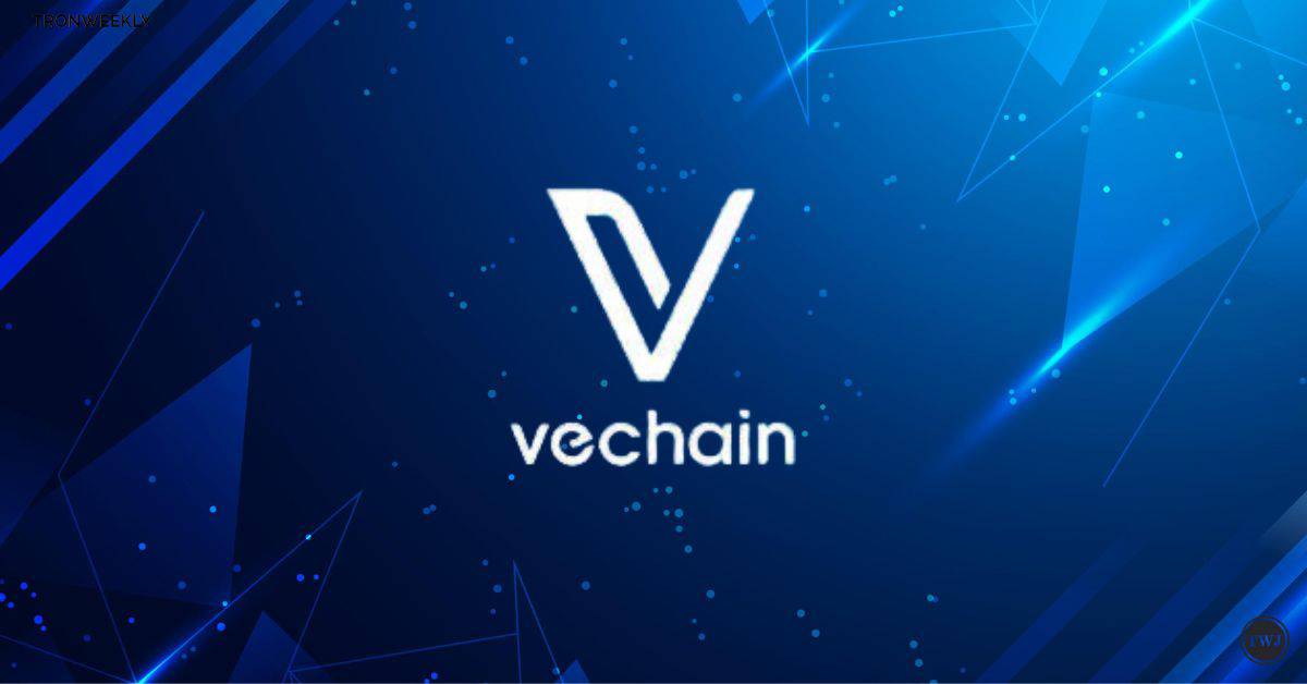 Vechain Opportunity: Lowest Price In 5 Years —Accumulation Phase