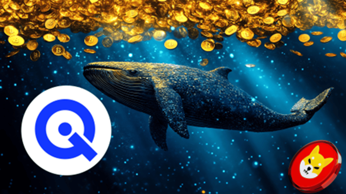 La prévente de WallitIQ (WLTQ) attire des investisseurs chevronnés, y compris une baleine Bitcoin (BTC)