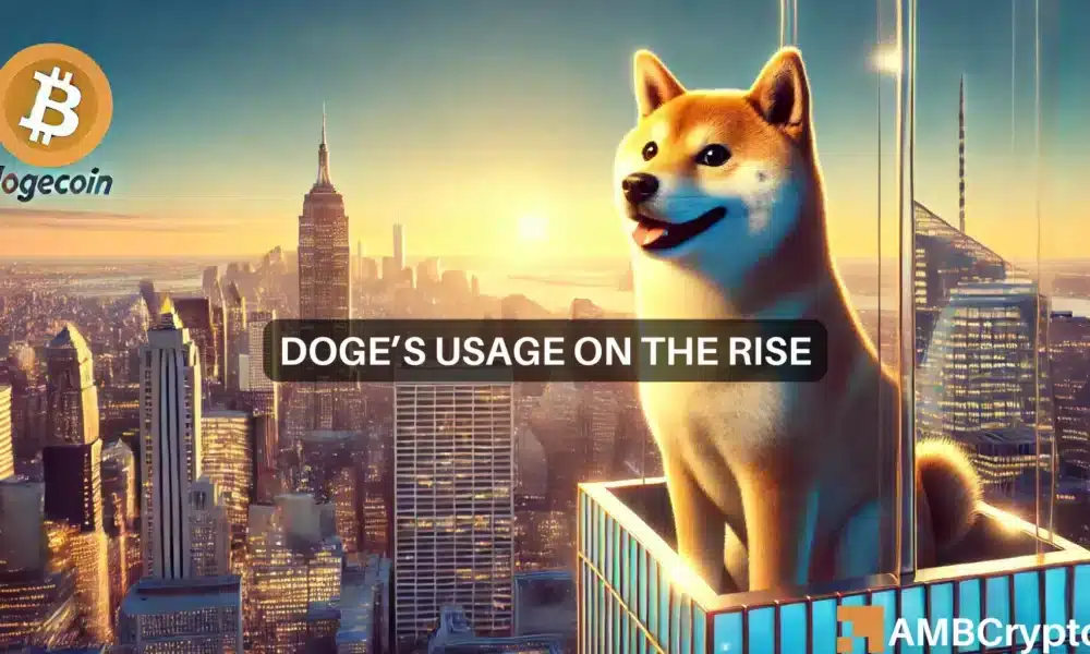 Activité du réseau Dogecoin (DOGE) sur FIRE, les baleines négocient activement