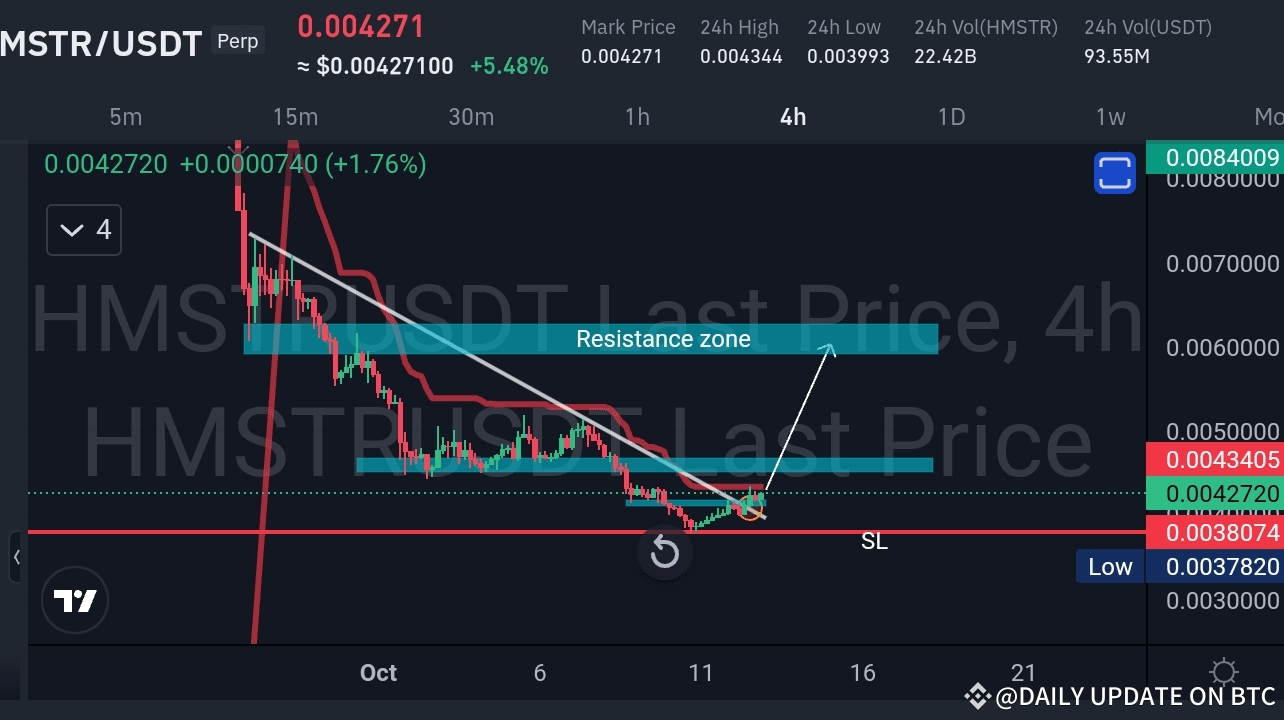 🔍 HMSTR/USDT 分析：著眼下一個突破！ 🔍