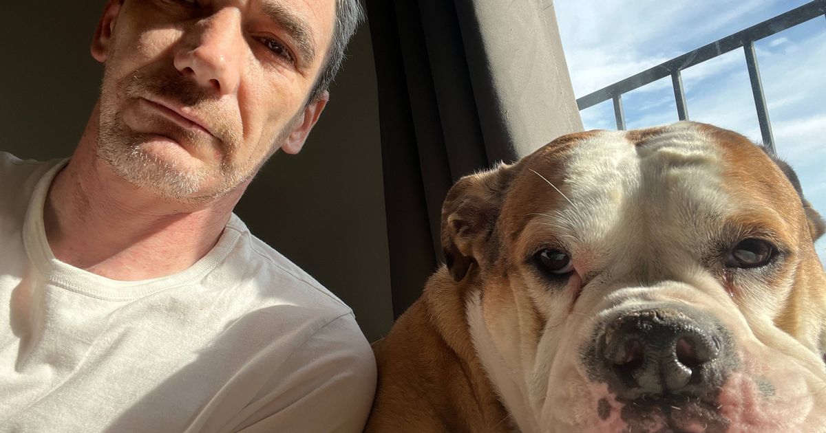 Besitzer einer amerikanischen Bulldogge ist verstört, nachdem sein Hund von einem Auto angefahren wurde, was ihm eine hohe Tierarztrechnung einbrachte