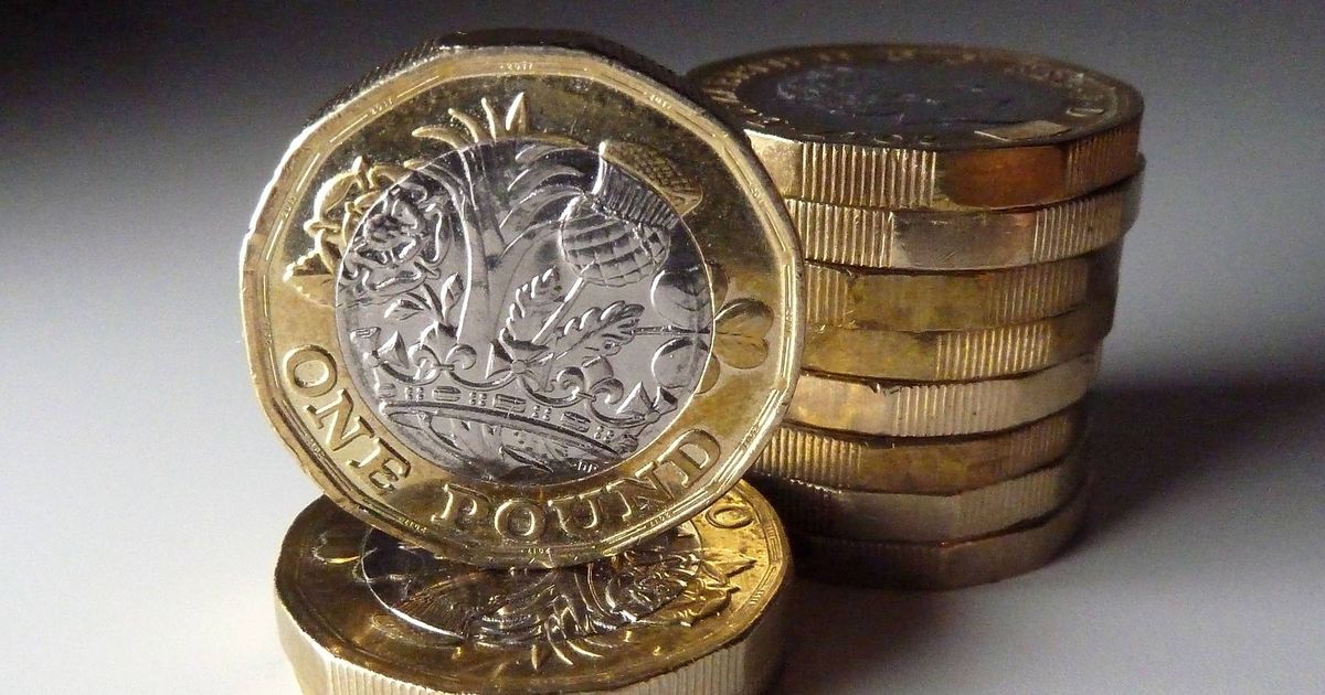 New £1 error coin featuring King Charles III's portrait and two bees is 'extremely valuable' to collectors