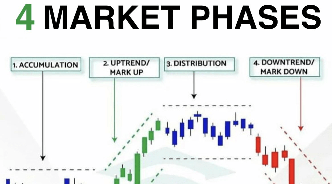 5 Low-Cap Altcoins That Will 100x This Cycle