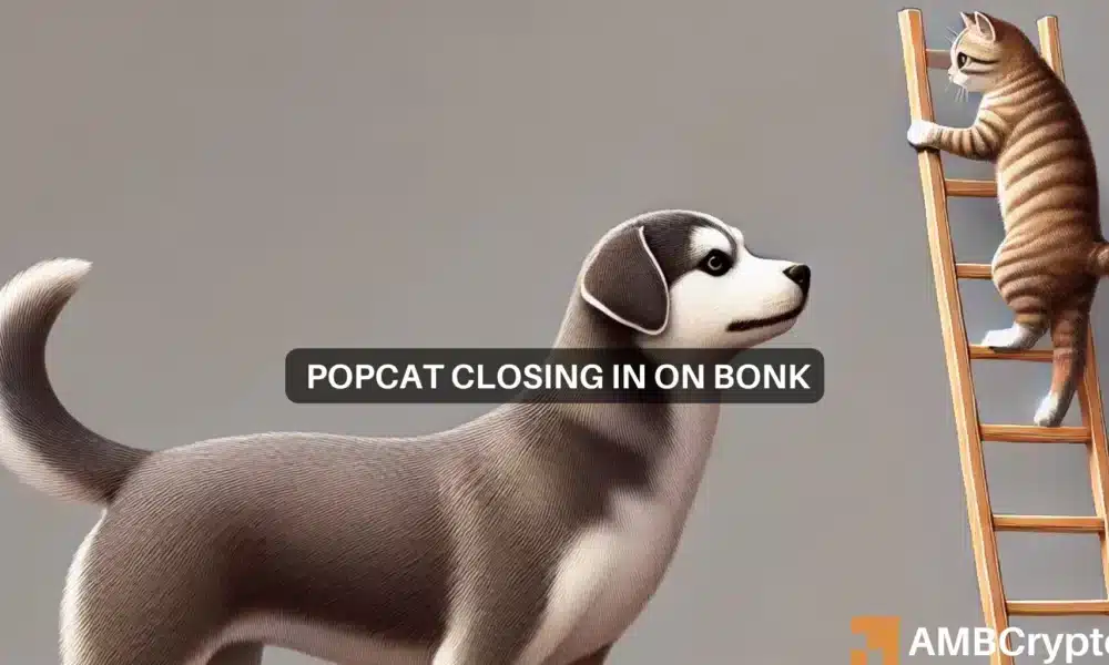 Popcat Memecoin 預計將超越 Bonk，第四季末市值目標為 2 美元