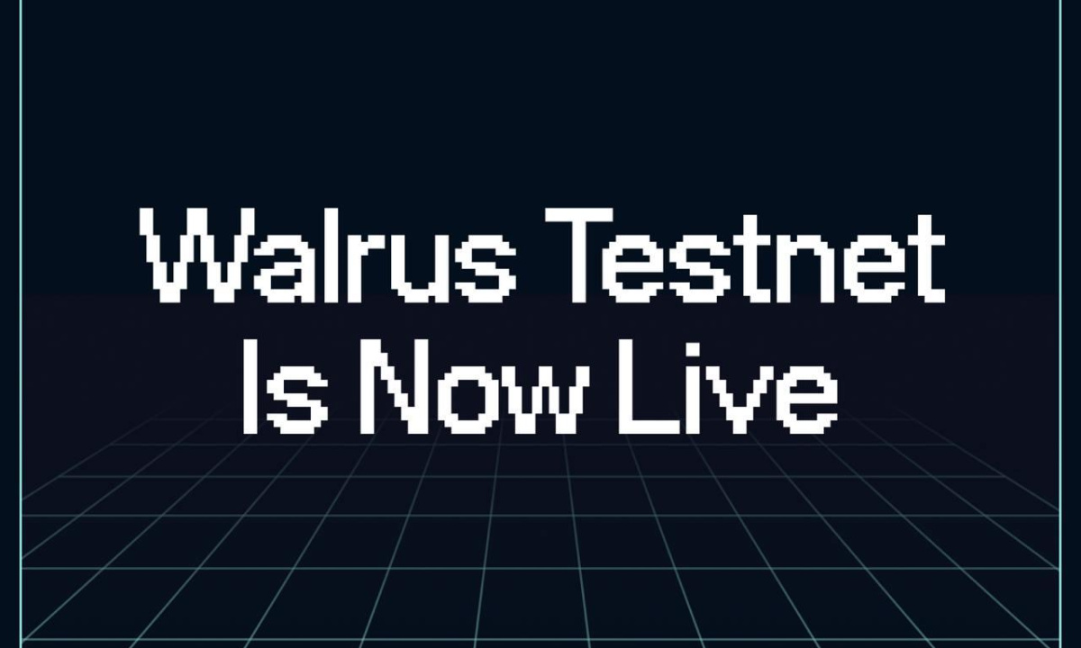 Mysten Labs lance Walrus Public Testnet alors qu'Akord commence sa migration vers le réseau de stockage décentralisé