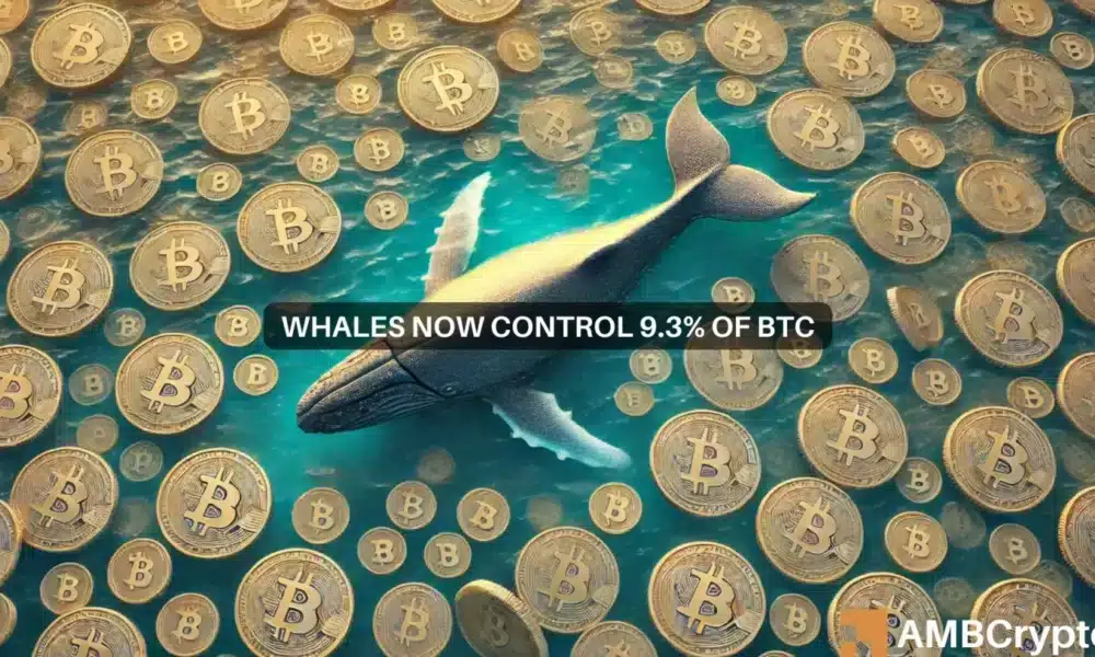 Les baleines Bitcoin accumulent le contrôle, BTC pourrait-il atteindre un nouvel ATH d'ici la fin du quatrième trimestre ?