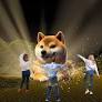 DOGE Leads the Crypto Market Gainers' Parade, While TRON and Avalanche See Slight Dips