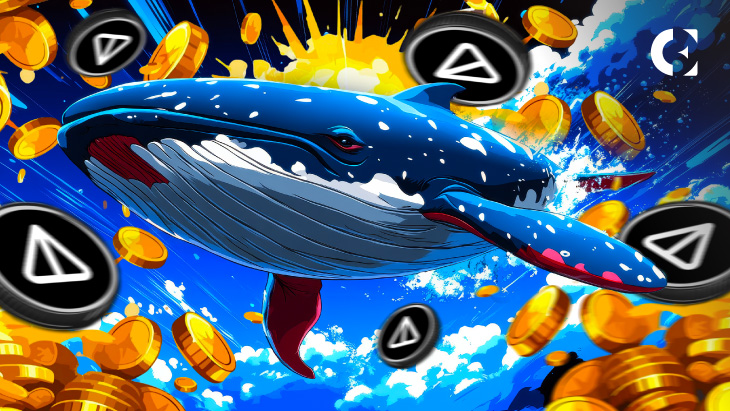 Notcoin (NOT) Whales Accumulate Ahead of Anticipated Recovery, Token Price Surges 11%