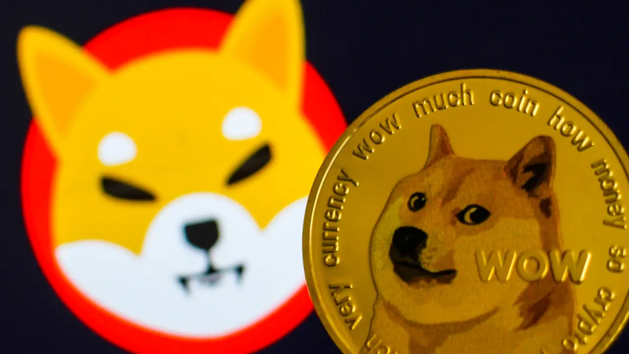 ジグネットワーク（ZIG）は2024年の成功に向けて準備を整え、ドージコイン（DOGE）や柴犬（SHIB）を上回ります