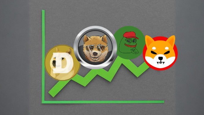 Amid the Dynamic Crypto Landscape, Some Meme-Inspired Digital Coins Are Catching Eyes for Potential Value Surges This Month