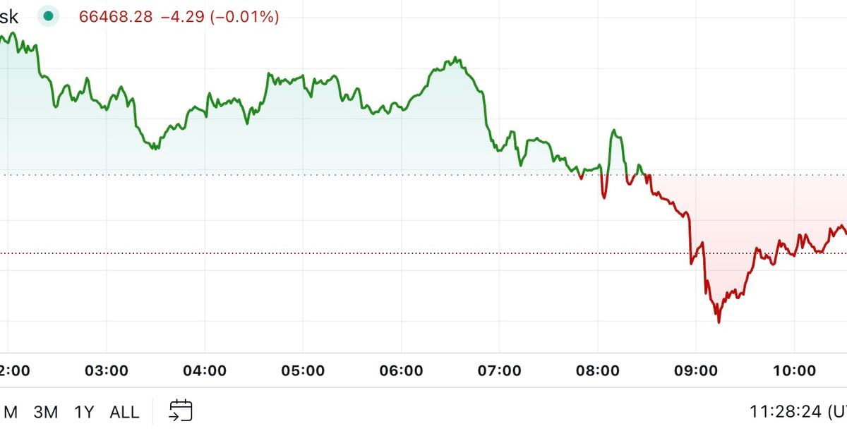 La chute du Bitcoin en dessous de 67 000 $ provoque une large baisse du marché