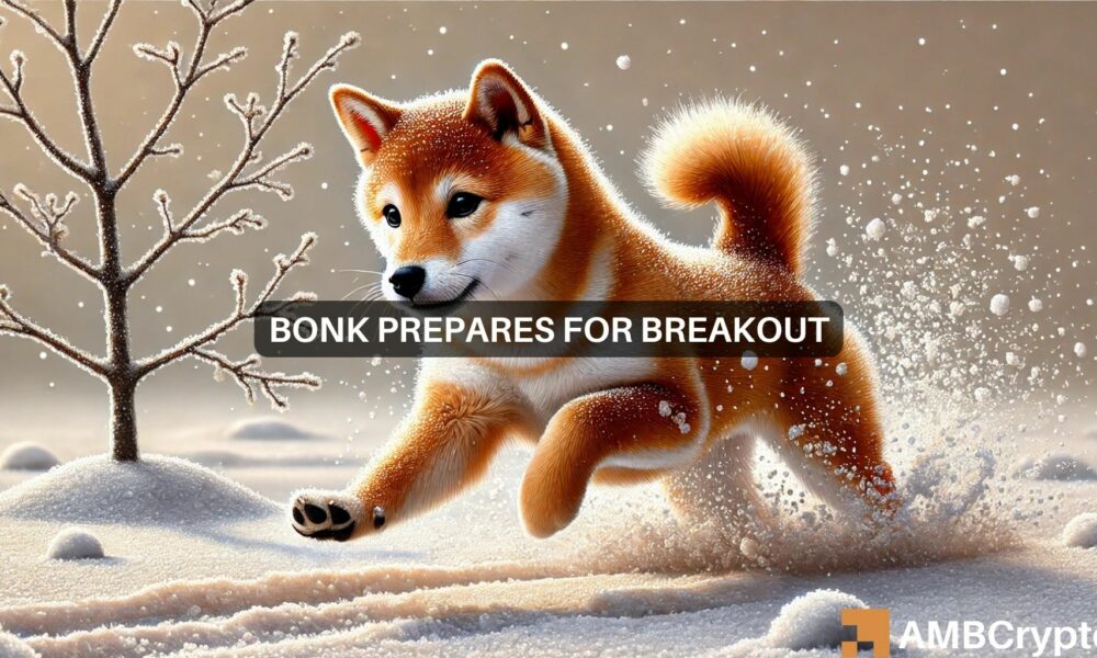 Bonk (BONK) Price Prediction: Preparing for a Potential Memecoin Supercycle