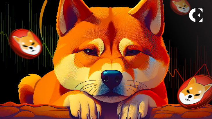 Shiba Inu (SHIB) pourrait devenir volatil à mesure que les investisseurs déplacent les jetons de leur propre garde vers les échanges, menaçant une baisse des prix