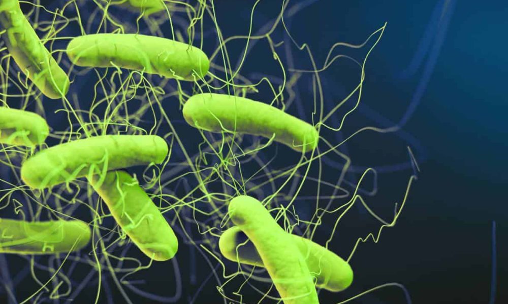 Bacteria Striking Back