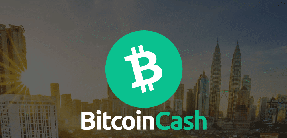 Bitcoin Cash (BCH) Hints Positive Outlook as Whales Accumulate and HODLers Increase