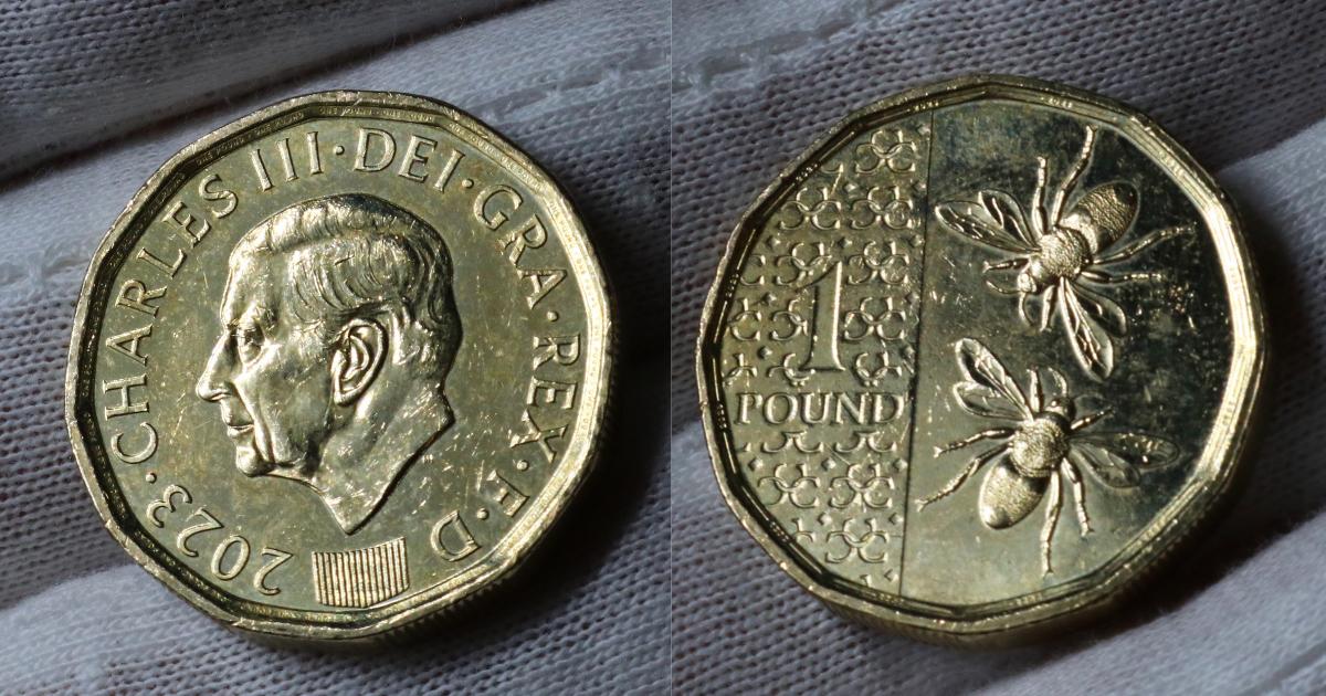 Seltene 1-Pfund-Münze, die versehentlich aus Messing und nicht aus dem üblichen zweifarbigen Nickel hergestellt wurde, wurde für 1.250 Pfund versteigert