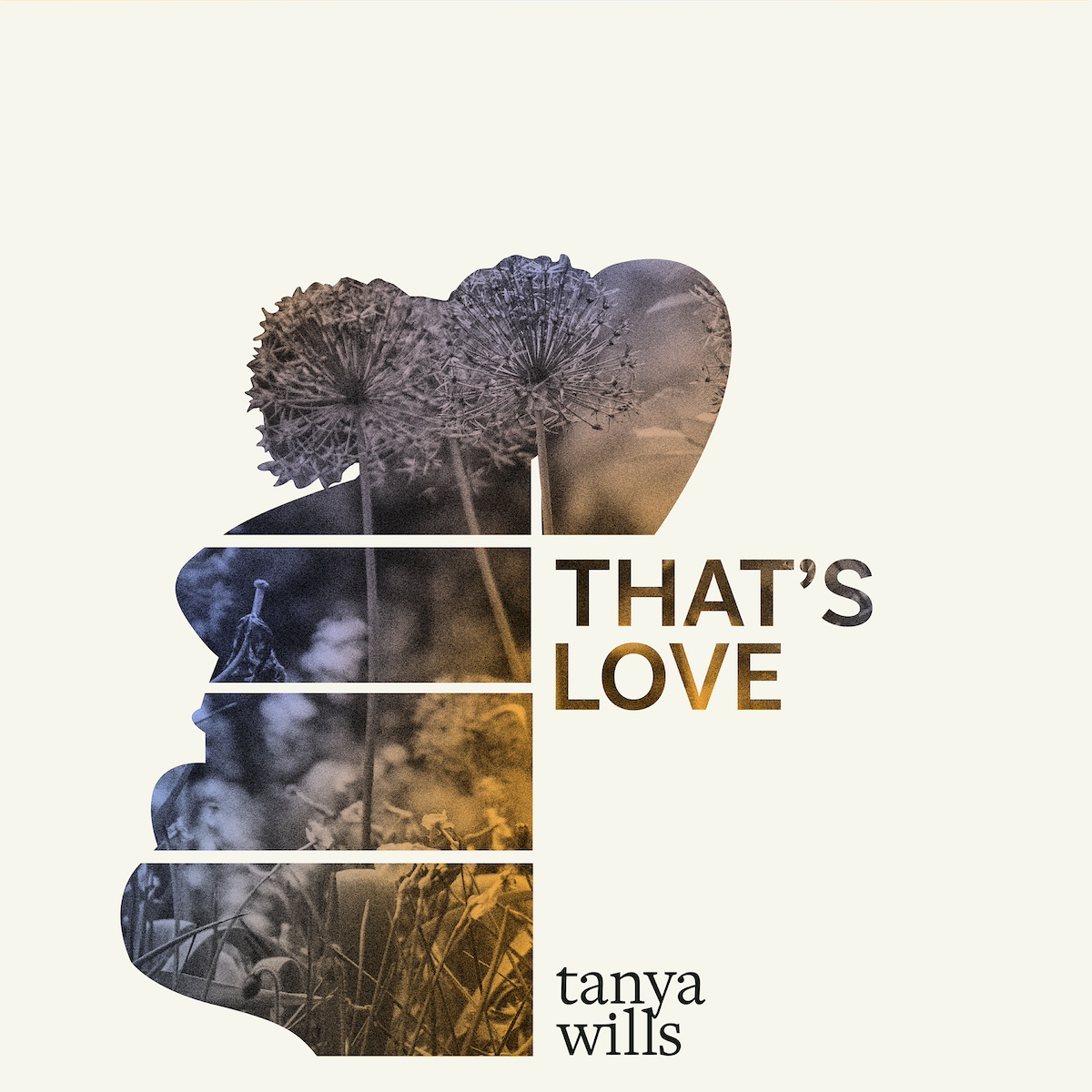 Tanya Wills wird das Dating-Spiel in ihrer lateinamerikanischen neuen Single „That's Love“ nicht mehr mitspielen