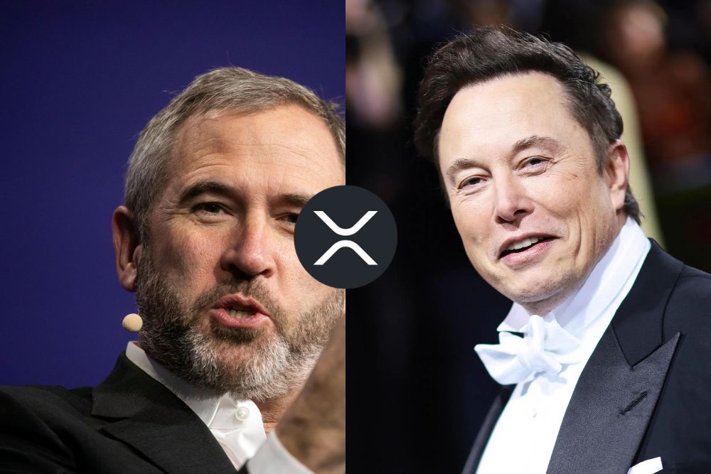 Elon Musk and Ripple CEO Discuss the Future of XRP and Cryptocurrency Regulations